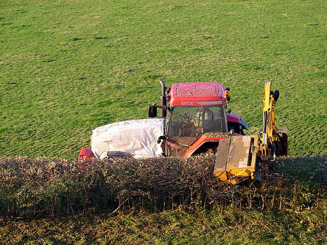 Traktor bei der Haselbeernte