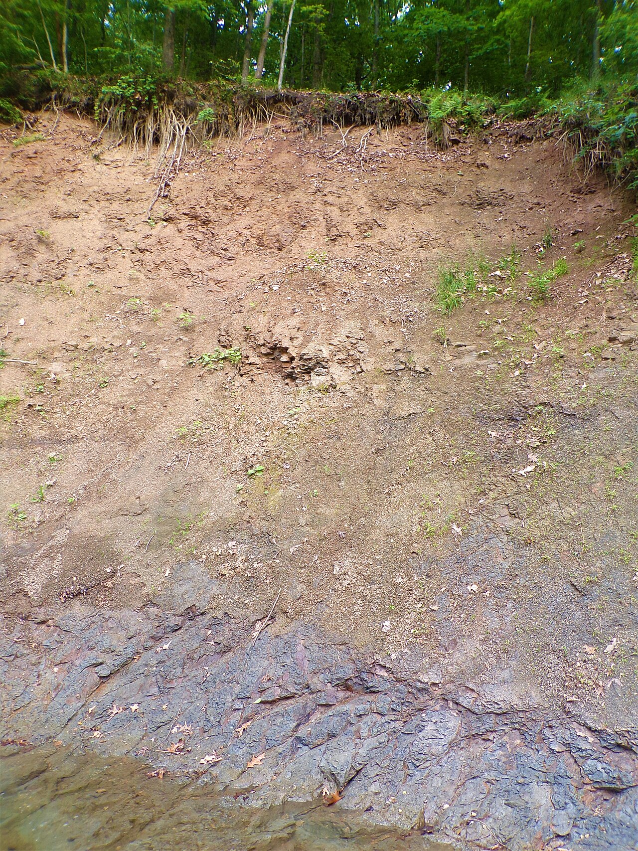 Durch Erosion freigelegte Bodenschicht an einem Gewässer mit sichtbarem Staub, Lehm und Ton