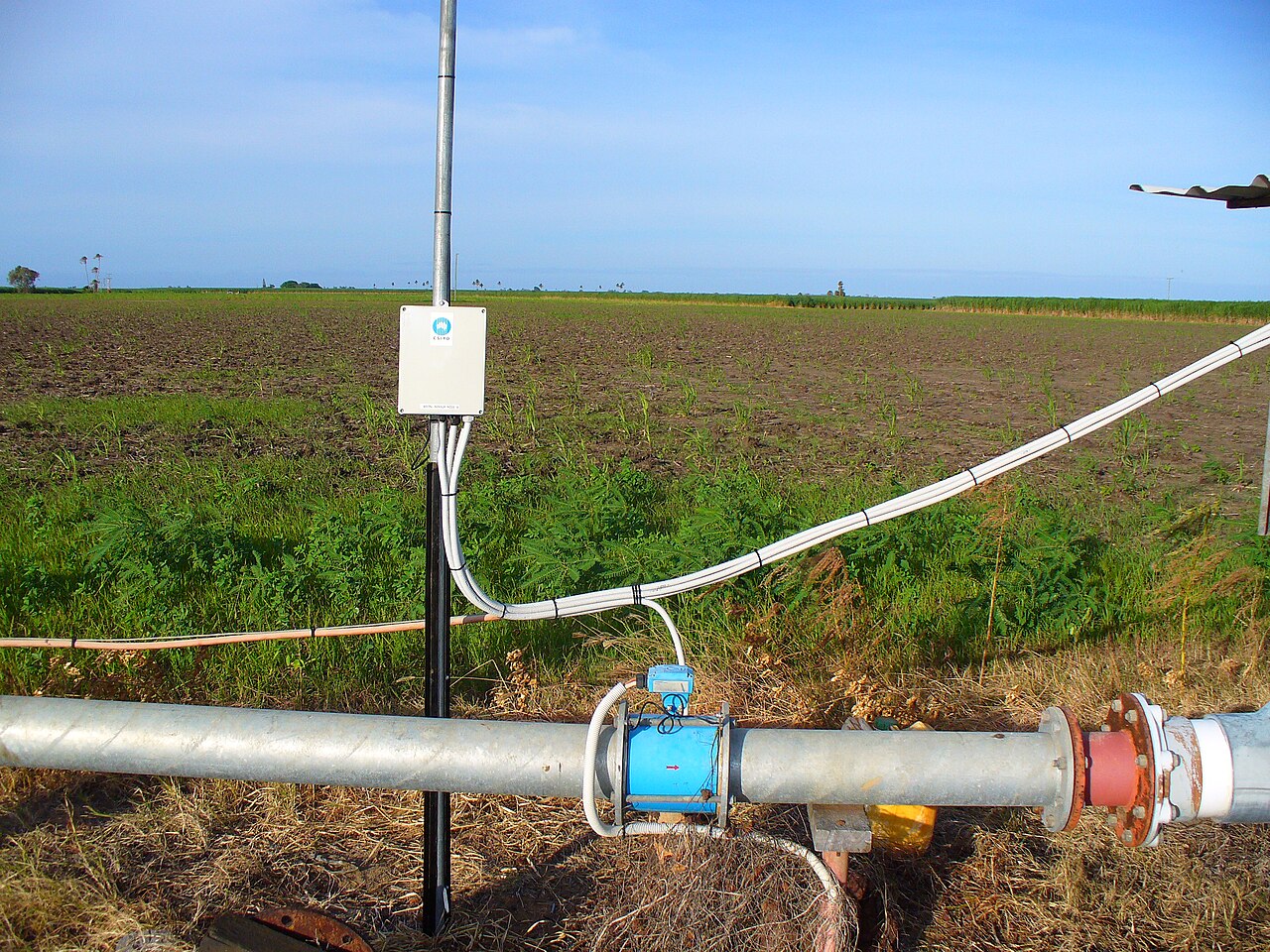 Bewässerungsrohr und Sensor im Feld