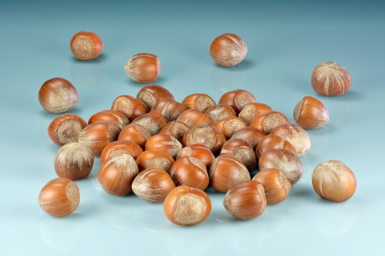 Various hazelnut varieties displayed