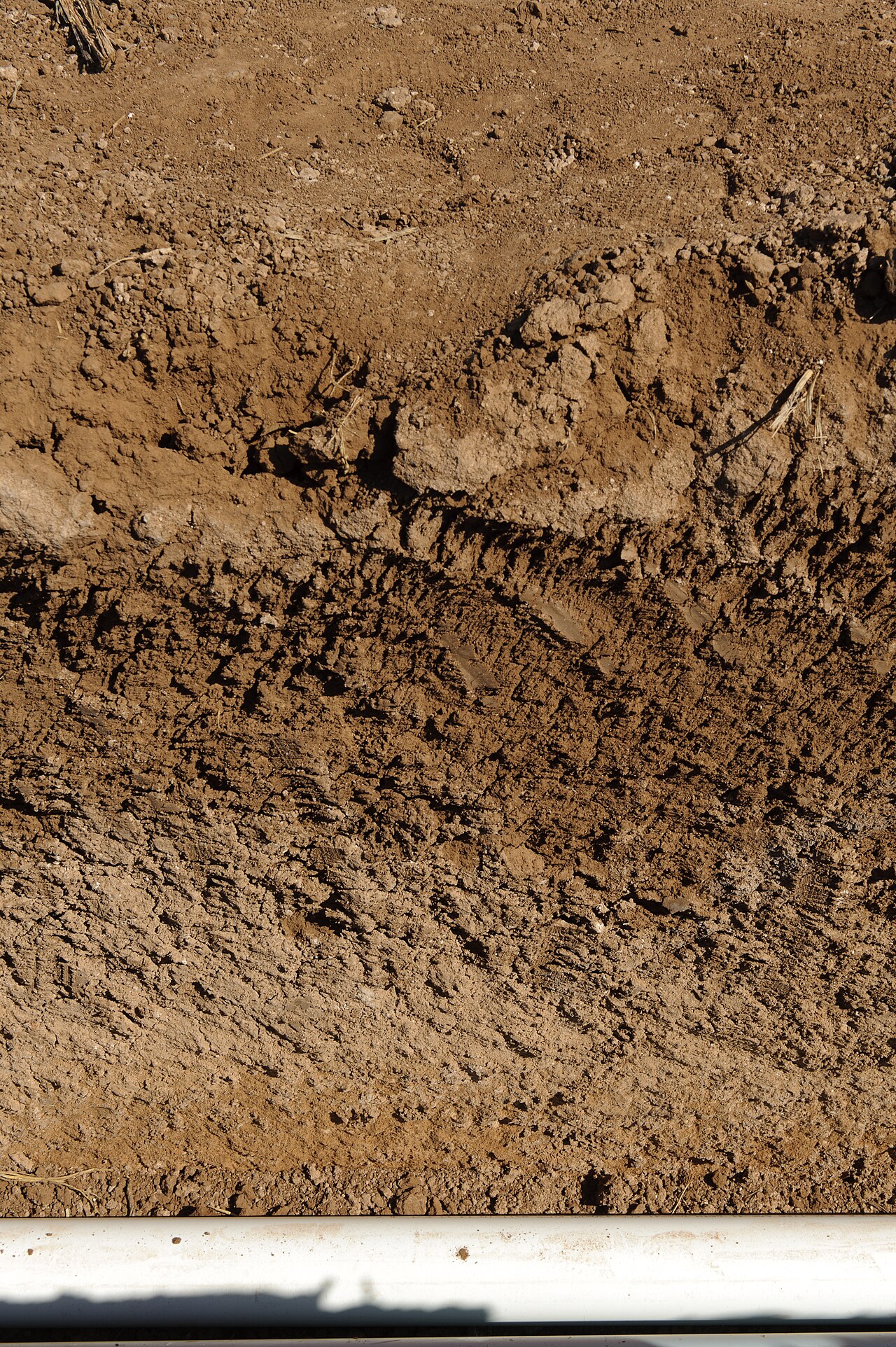 Einbau eines subsurface Tropfbewässerungssystems