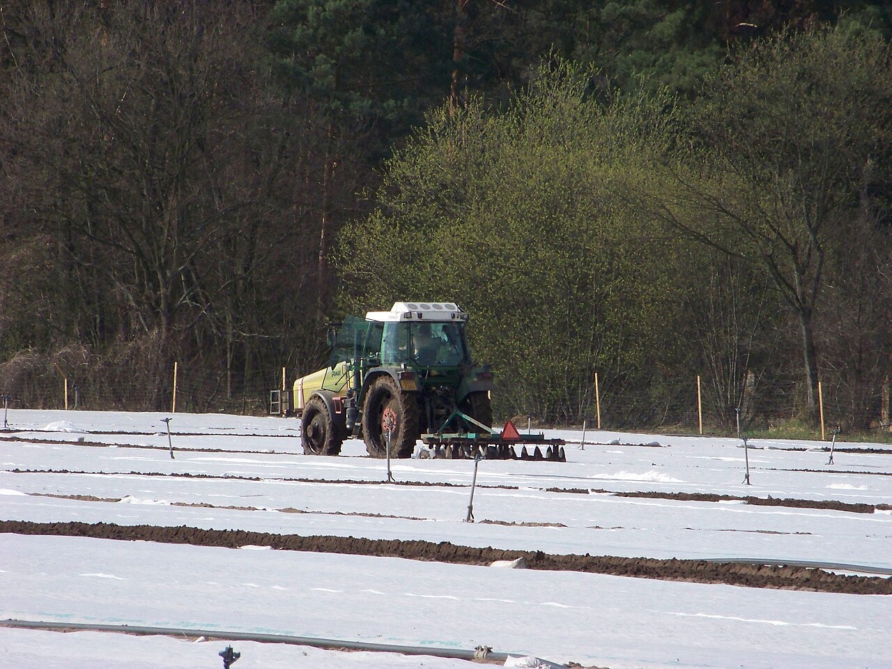 Traktor mit Walze verdichtet und ebnet die Bodenoberfläche auf dem Feld
