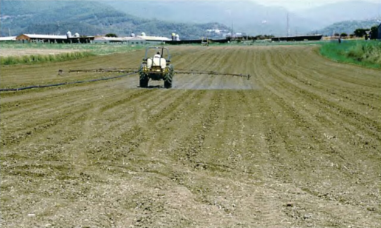 Traktor sprüht Haselnussfeld