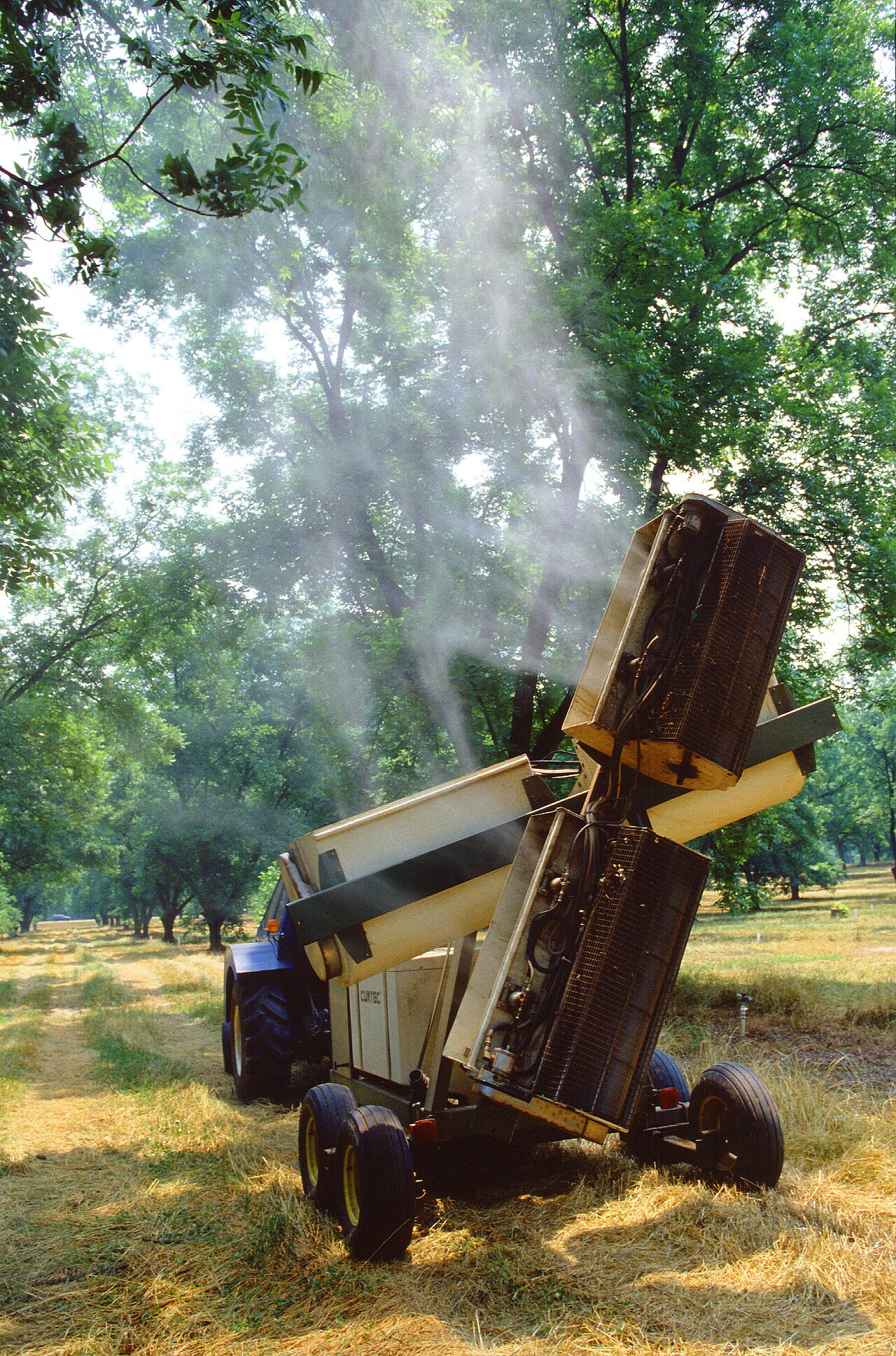 Traktor sprüht Haselnussplantage