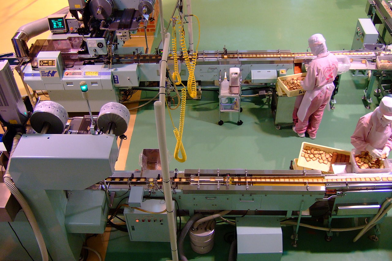 Industrielle Haselnuss-Verarbeitungsanlage