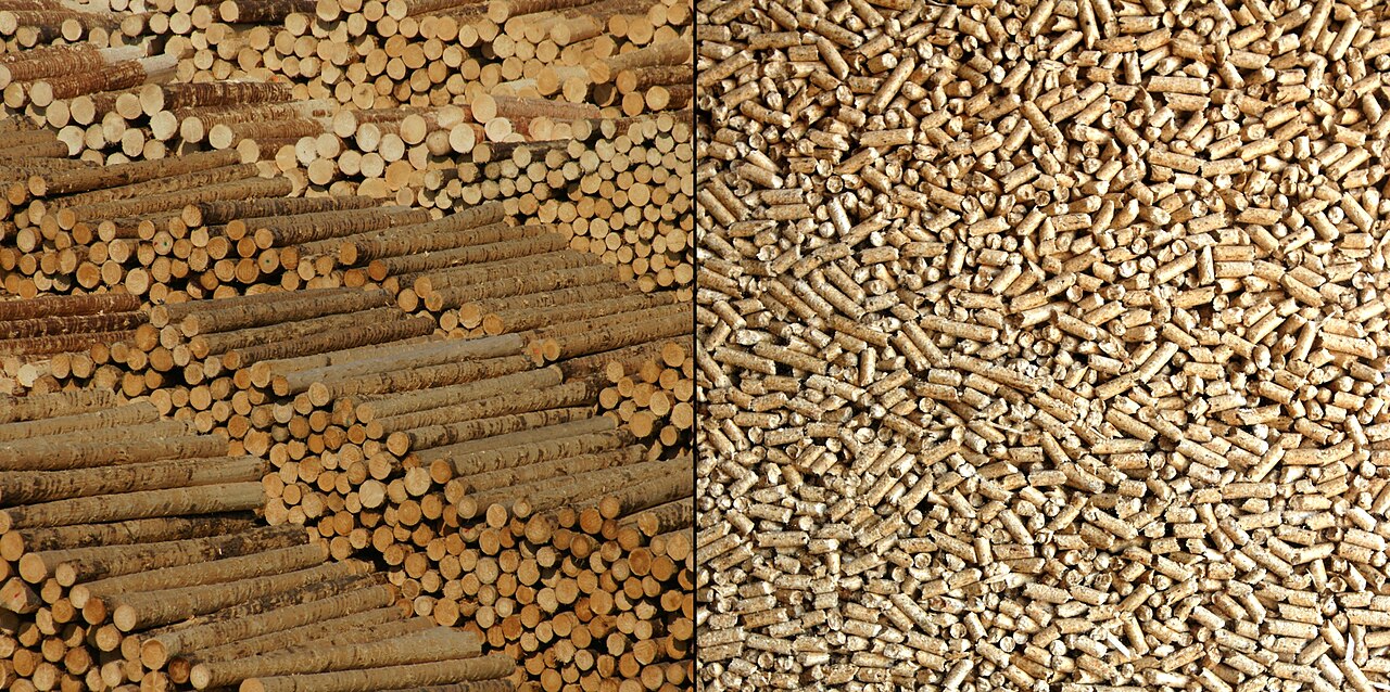 Holzpellets — dichtestofflicher Brennstoff; Schale wird als Beimischung zu anderer Biomasse pelletiert