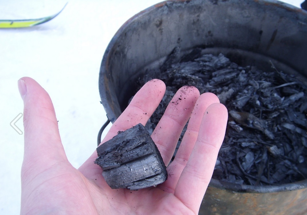 Bio-Kohle (Biochar) — Produkt der Pyrolyse von Biomasse, Beispiel für fortgeschrittene thermochemische Verwertung