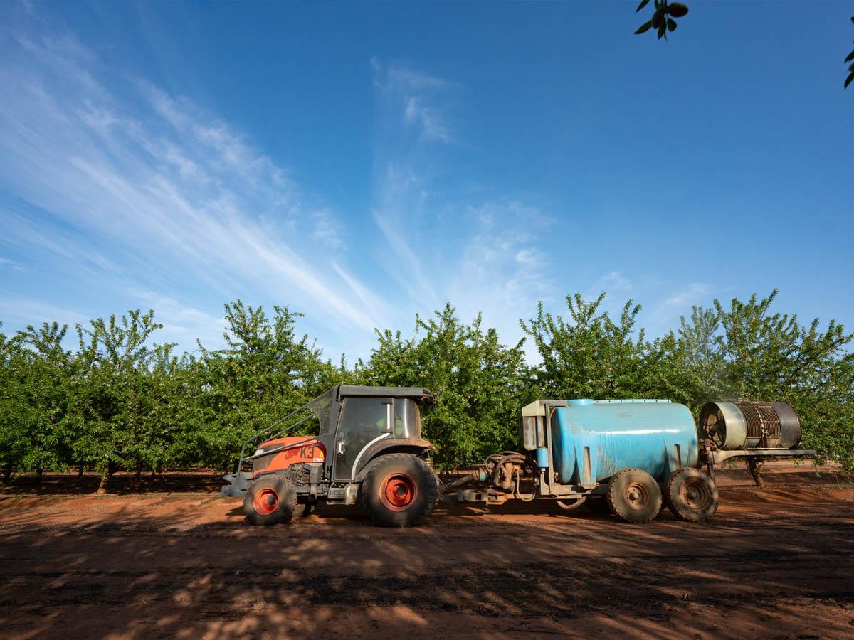 Obsttraktor mit angehängtem Sprühgerät in der Anpflanzung, Beispiel für Mechanisierung, die durch Kredit oder Leasing erworben wird