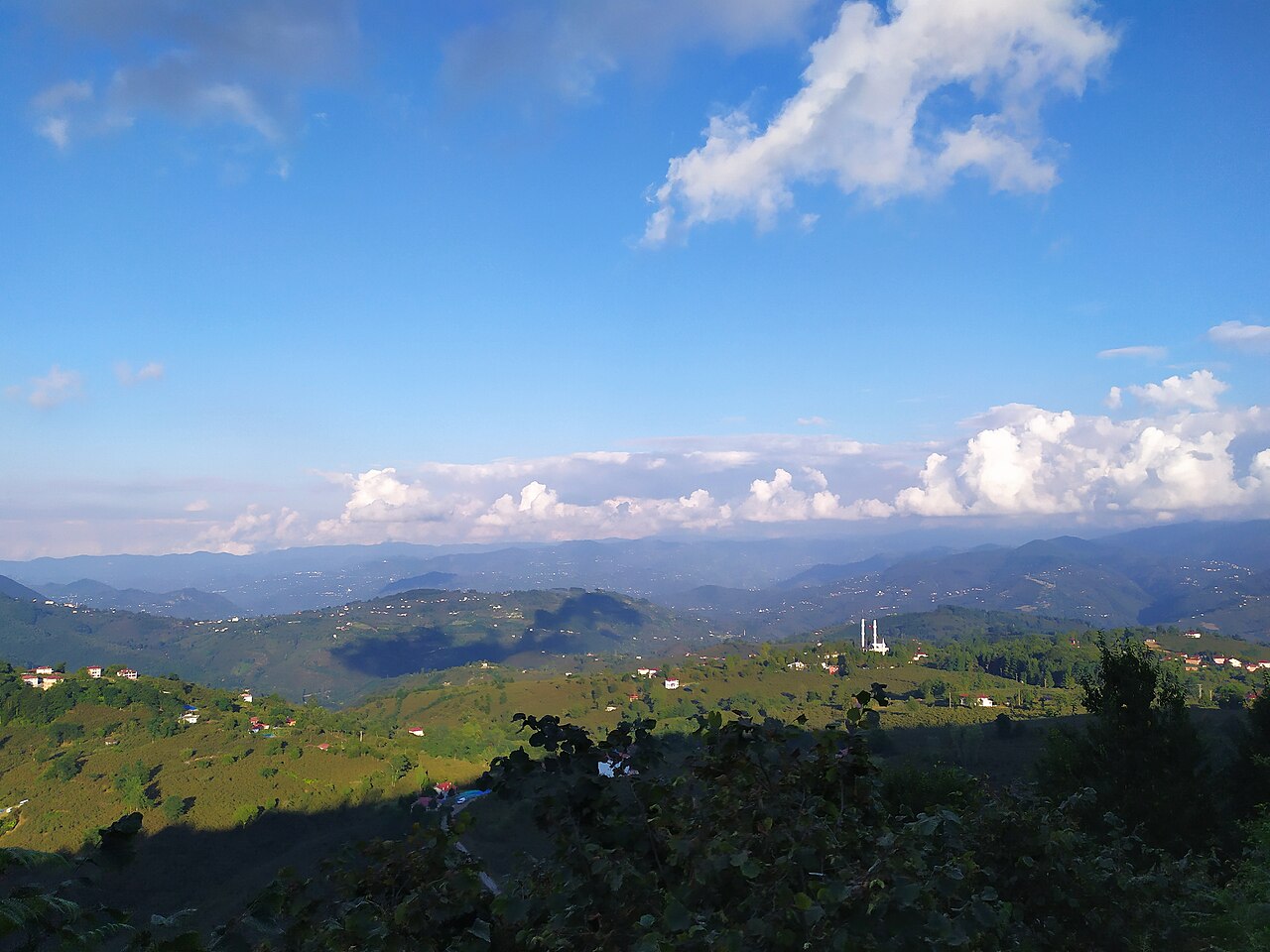 Türkische Haselnusslandschaft