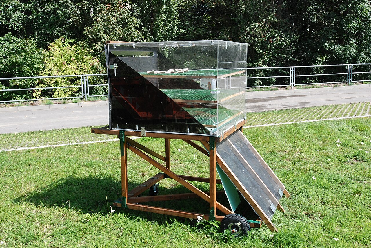 Sonnengetrocknete Nüsse